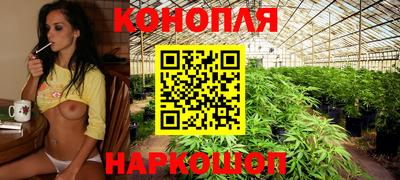 стаф Лесосибирск