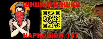 стаф Лесосибирск