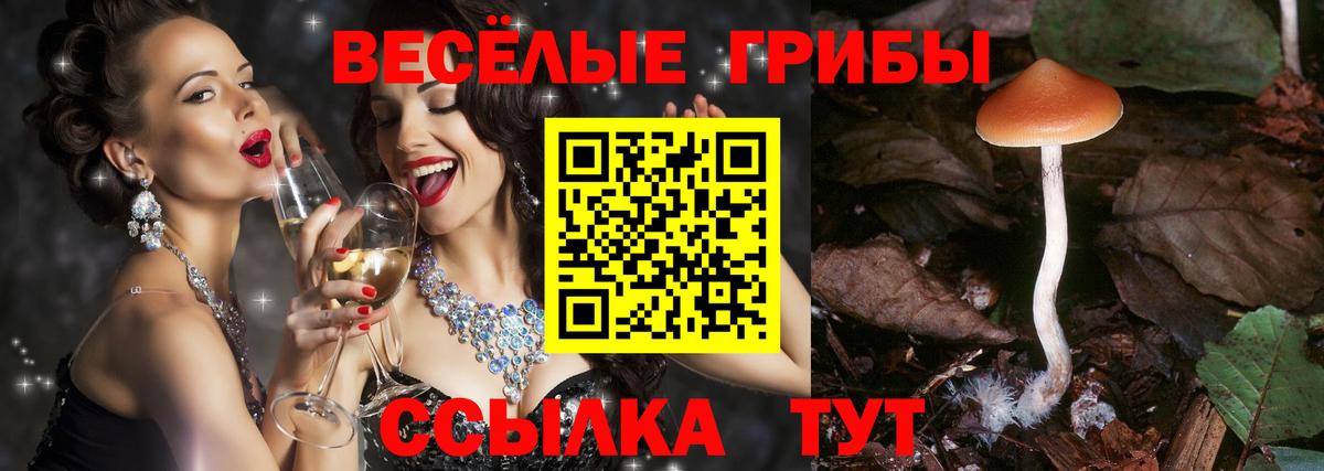 Псилоцибиновые грибы прущие грибы Геленджик