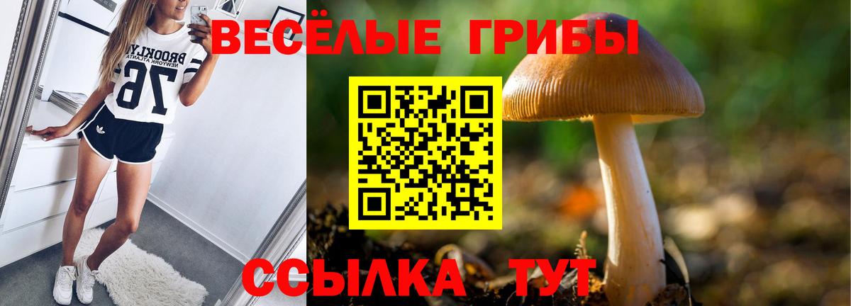 Геленджик  Псилоцибиновые грибы GOLDEN TEACHER  Вход с VPN 